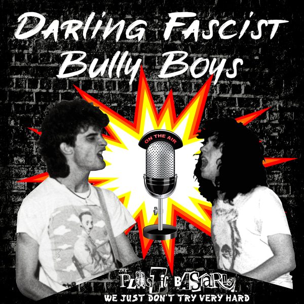 Darling Fascist Bully Boys cover art